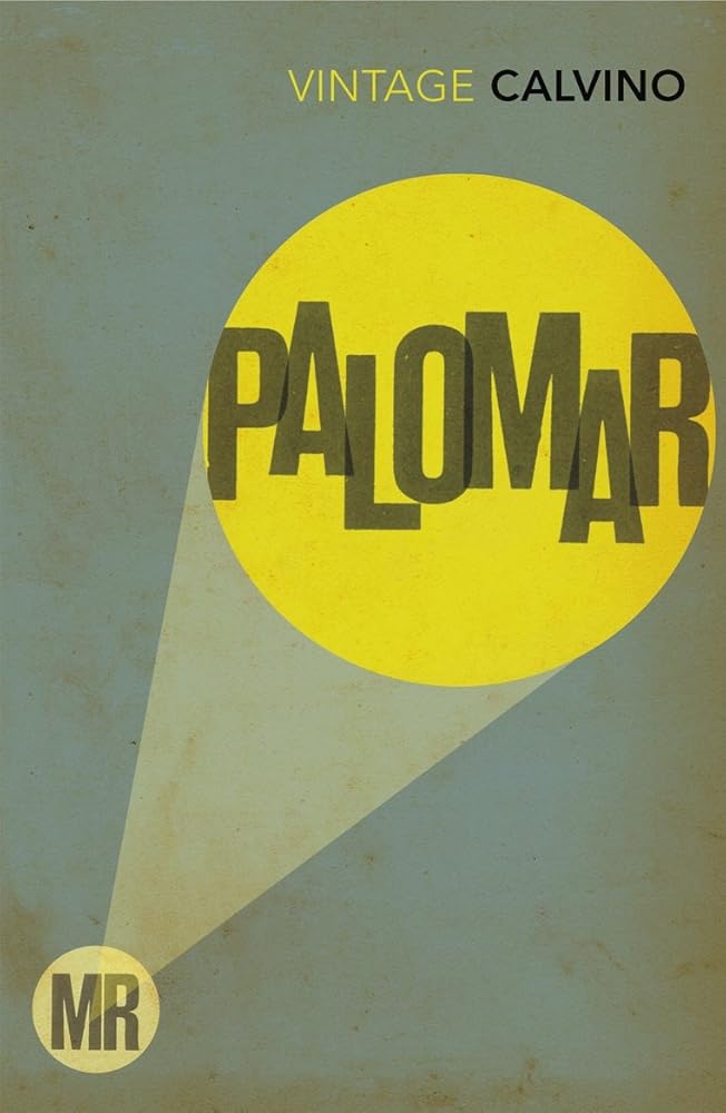 Mr Palomar cover image