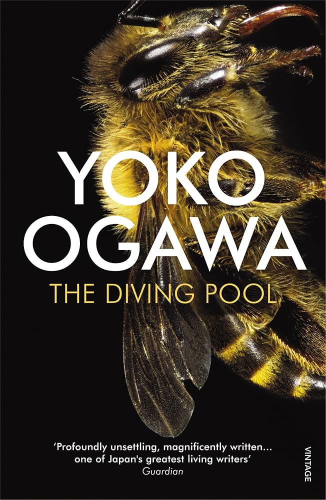 The Diving Pool cover image