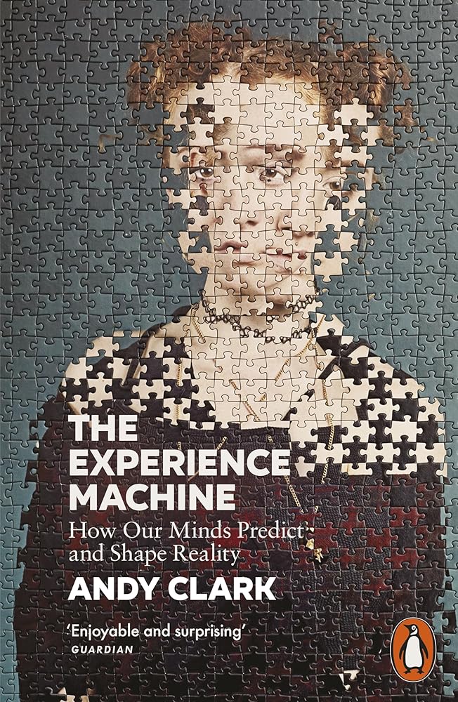 The Experience Machine: How Our Minds Predict and Shape Reality cover image