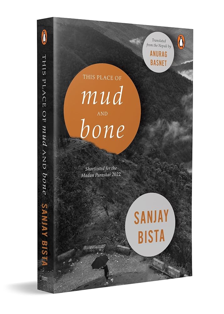 This Place of Mud and Bone cover image