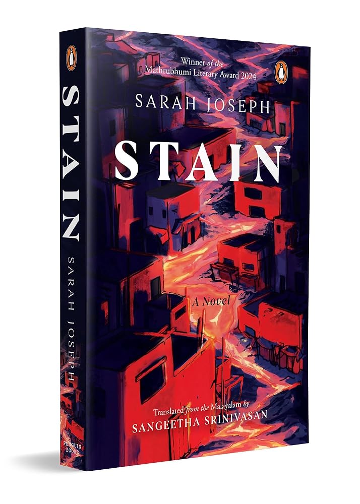 Stain:A Novel cover image