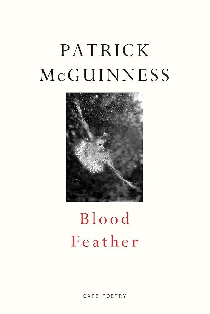 Blood Feather cover image