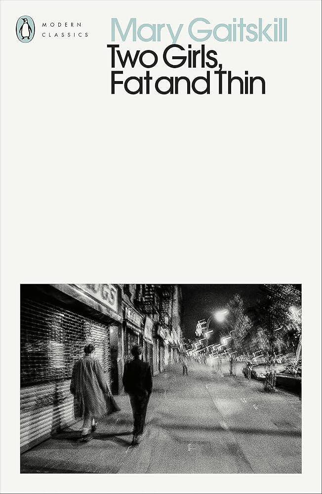 Two Girls, Fat and Thin (Penguin Modern Classics) cover image