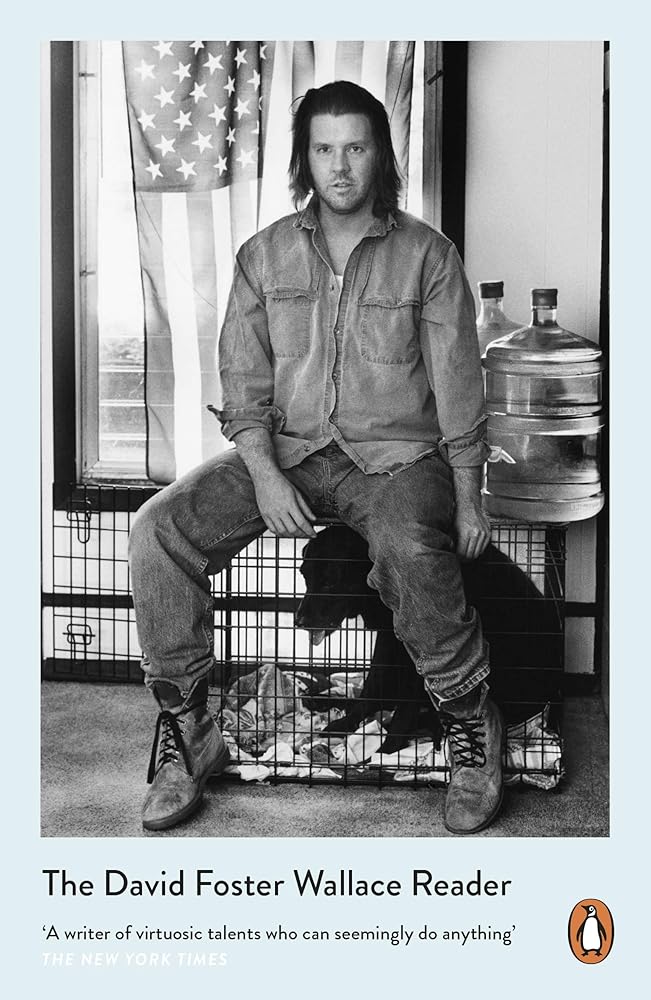 David Foster Wallace Reader cover image