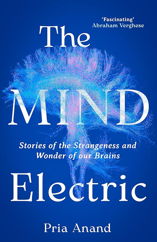 The Mind Electric: 'Lyrical and spellbinding' New Scientist cover image