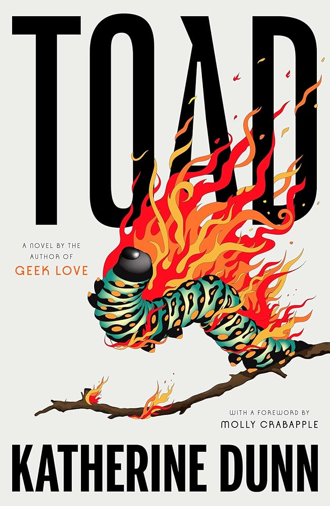 Toad: A Novel cover image