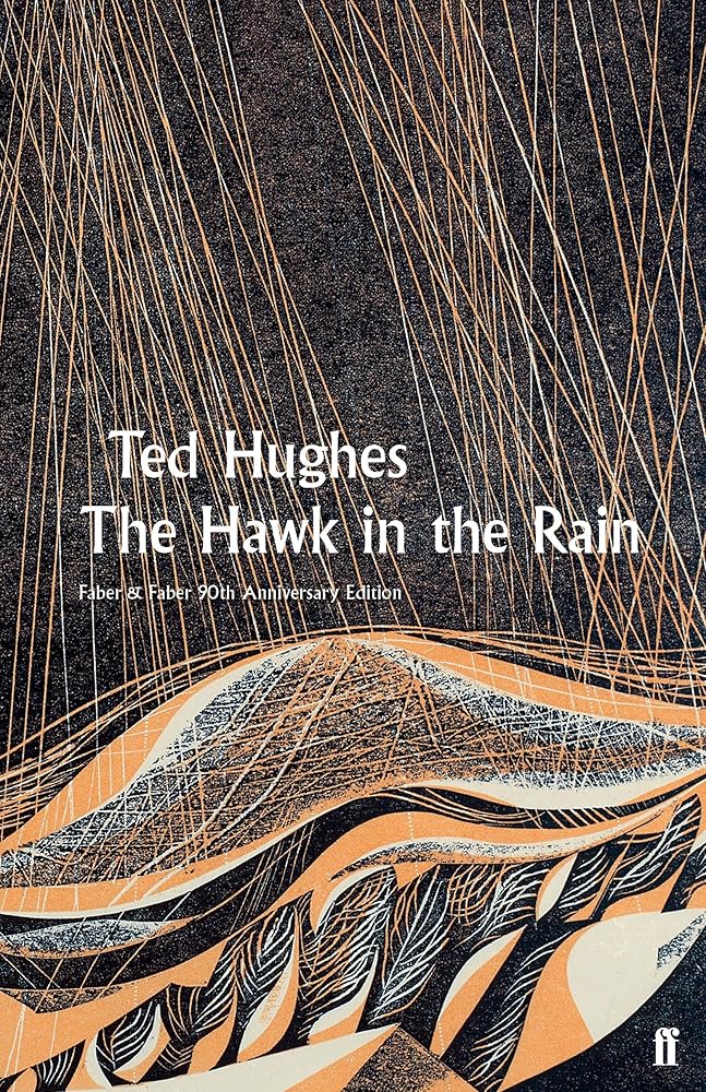 The Hawk in the Rain cover image