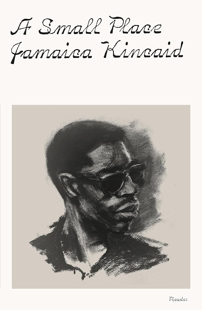 A Small Place cover image