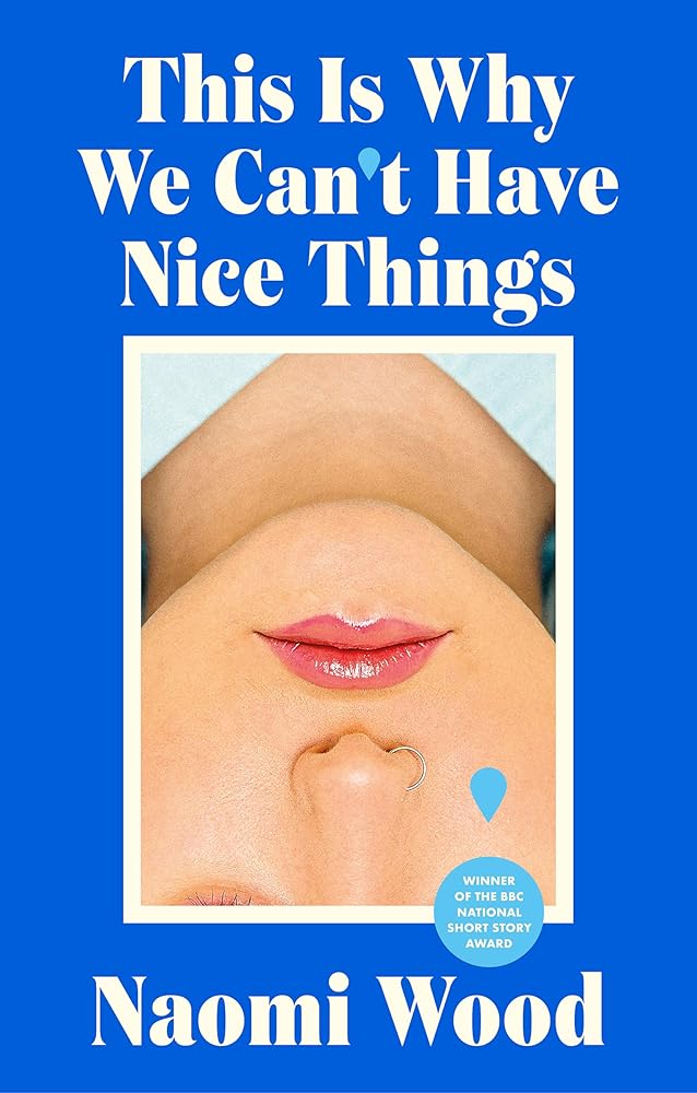 This Is Why We Can't Have Nice Things cover image