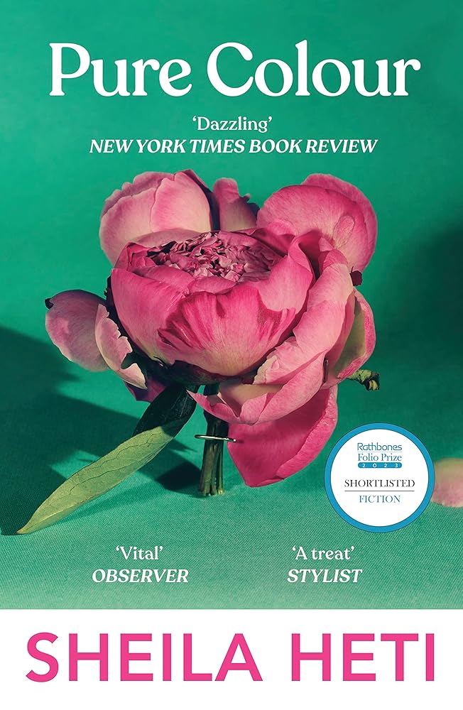 Pure Colour: the new novel from the author of Motherhood and How Should A Person Be? cover image