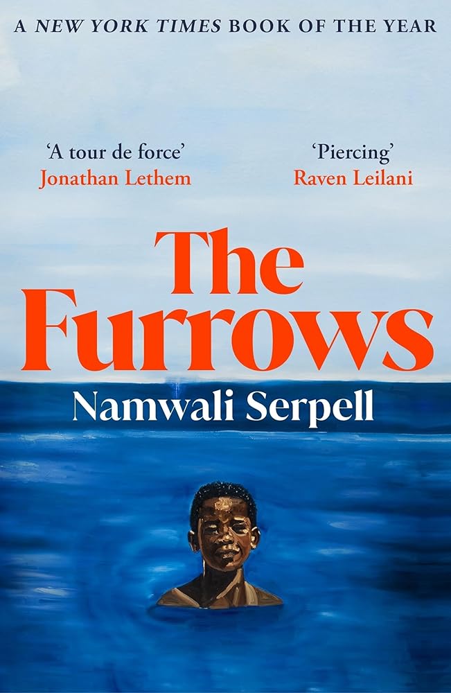 Vintage The Furrows From the Prize-winning author of The Old Drift. cover image