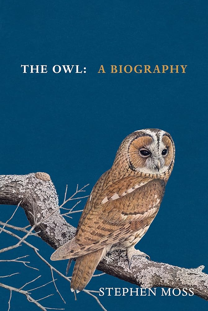 The Owl: A Biography cover image