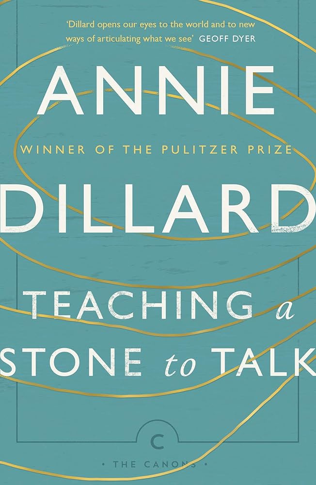 Teaching A Stone To Talk cover image