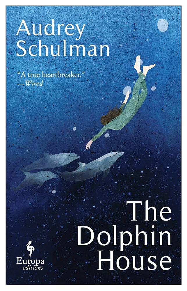The Dolphin House: A moving novel on connection and community cover image