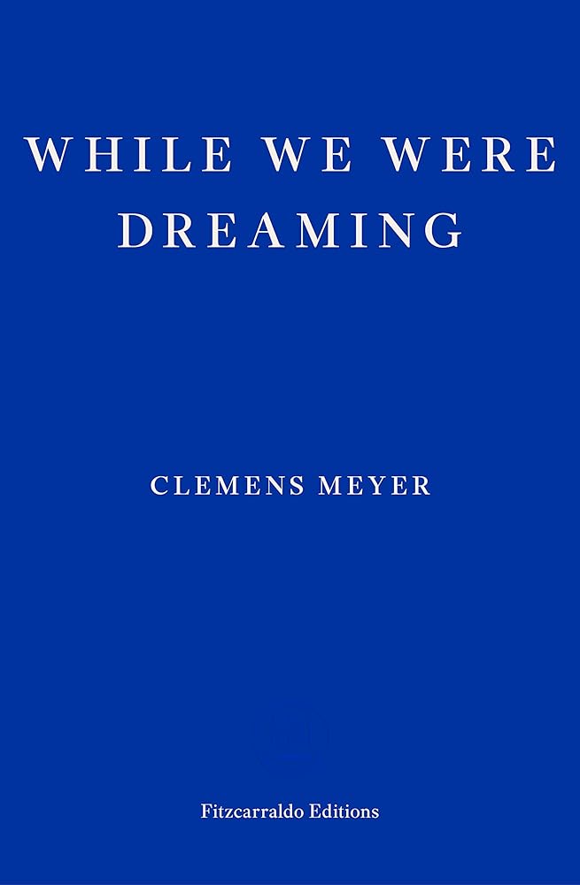 While We Were Dreaming cover image