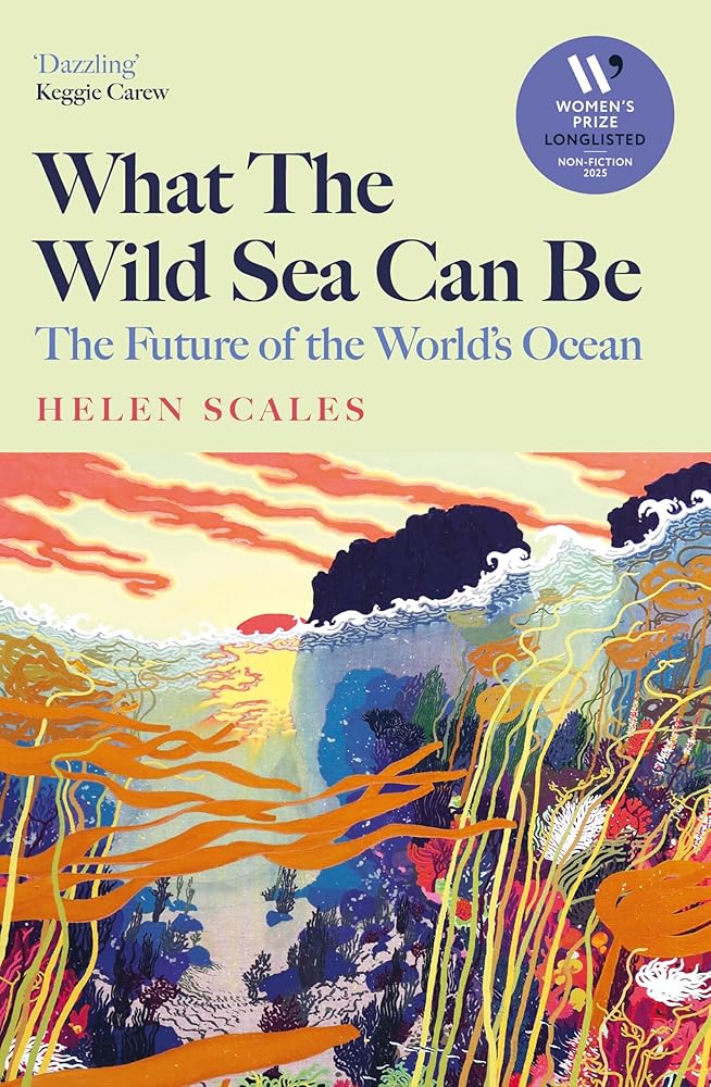 What the Wild Sea Can Be cover image