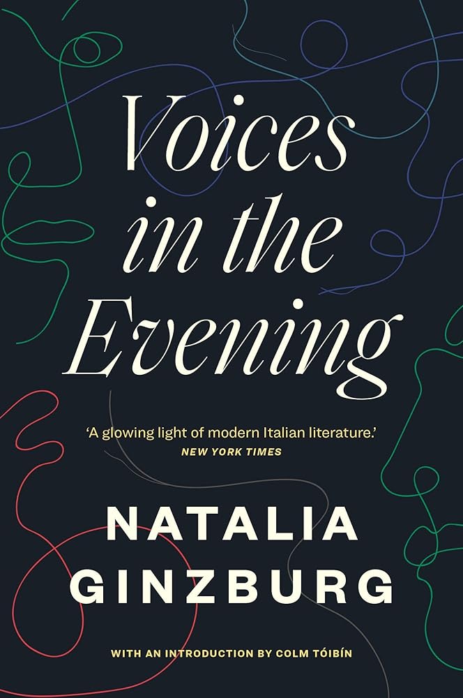 Voices in the Evening (with an introduction by Colm Toibin) cover image