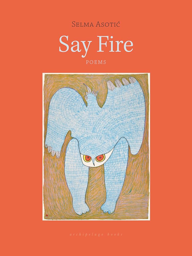 Say Fire cover image