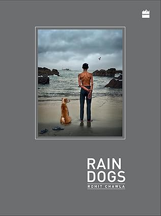Rain Dogs cover image