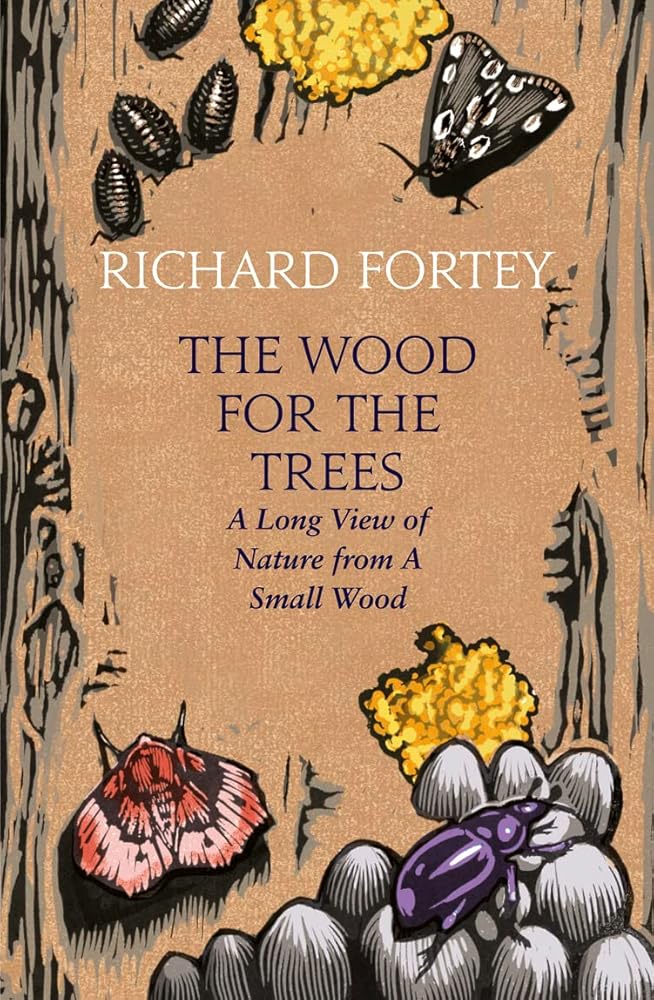 The Wood for the Trees : The Long View of Nature From a Small Wood cover image