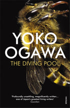 The Diving Pool cover image