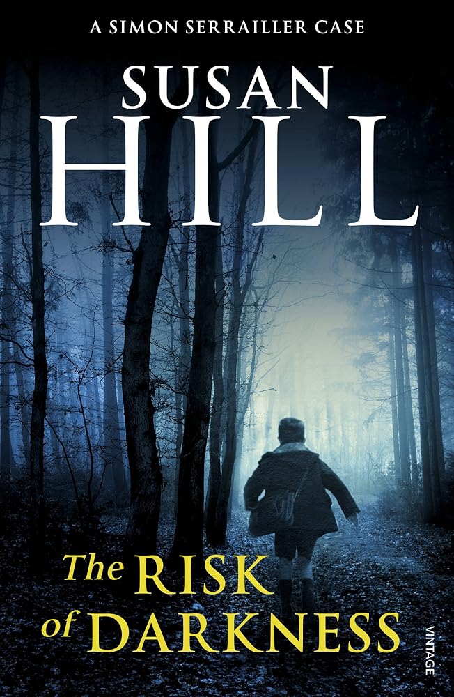 Risk of Darkness cover image