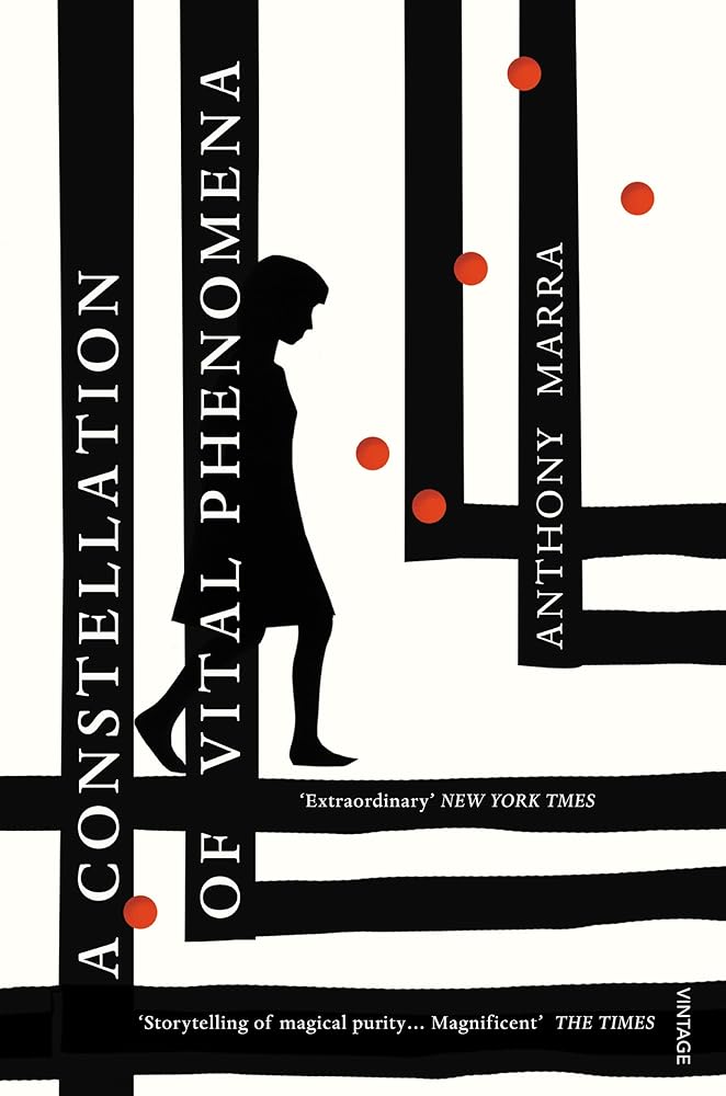 A Constellation of Vital Phenomena cover image