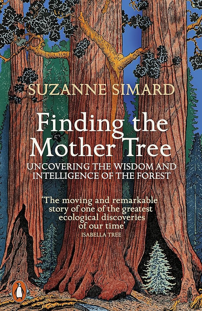 Finding the Mother Tree: Uncovering the Wisdom and Intelligence of the Forest cover image