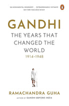 Gandhi The Years That Changed the World cover image