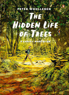 The Hidden Life of Trees: A Graphic Adaptation cover image