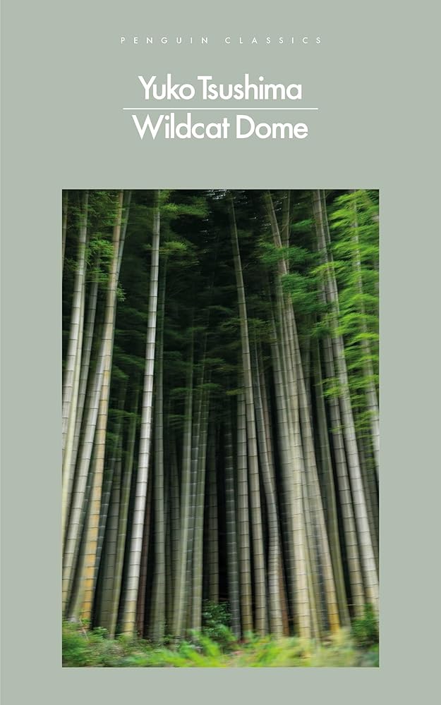 Wildcat Dome cover image