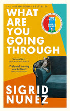 What Are You Going Through: Now a Pedro Almodovar film - THE ROOM NEXT DOOR cover image