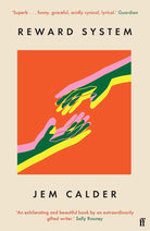 Reward System: 'A superb writer, by turns funny, graceful, acidly cynical, lyrical' GUARDIAN cover image
