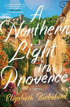 A Northern Light in Provence: A Novel cover image