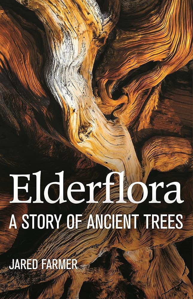 ELDERFLORA cover image