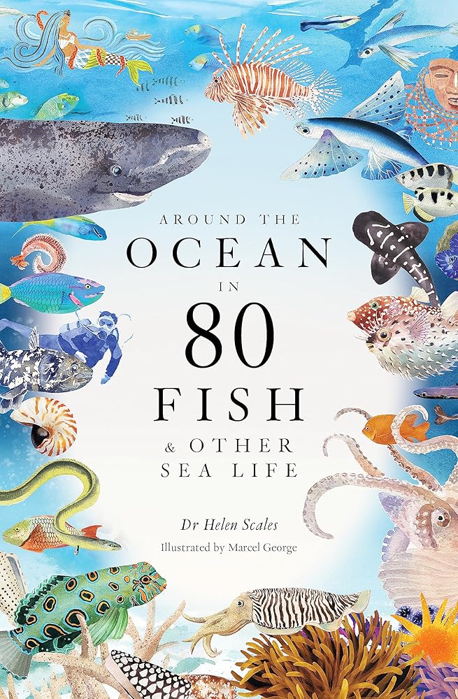 Around the Ocean in 80 Fish and other Sea Life cover image