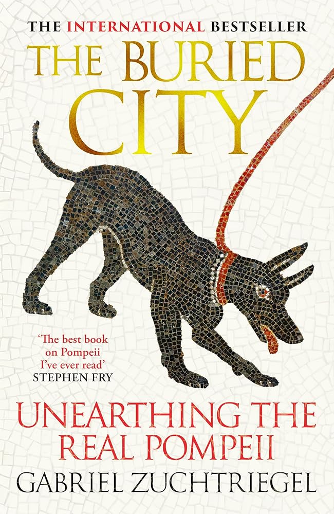 Hodder The Buried City Unearthing the Real Pompeii - the Instant Sunday Times Bestseller. cover image