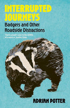 Interrupted Journeys cover image