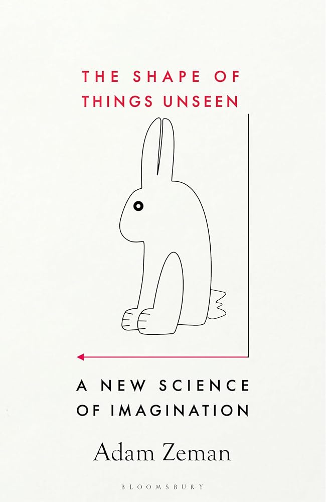 The Shape of Things Unseen: A New Science of Imagination cover image