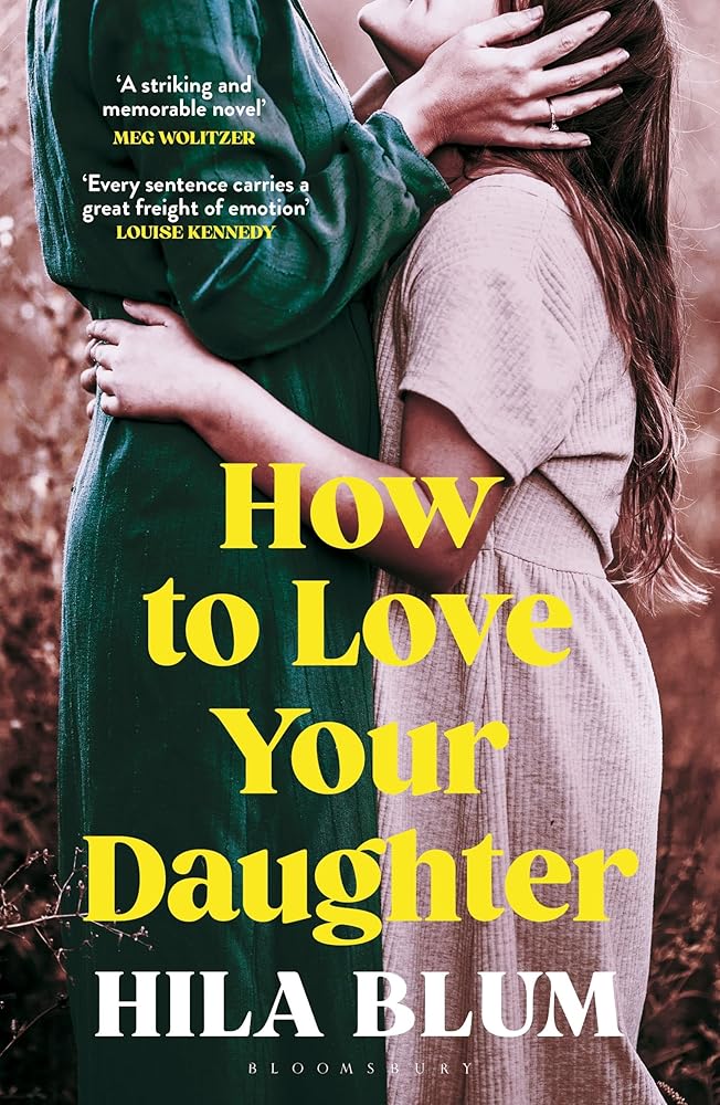 How to Love Your Daughter: The ‘excellent and unforgettable’ prize-winning novel cover image