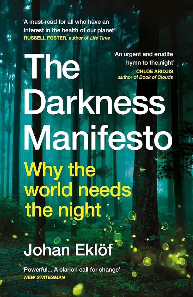 Vintage The Darkness Manifesto Why the world needs the night. cover image