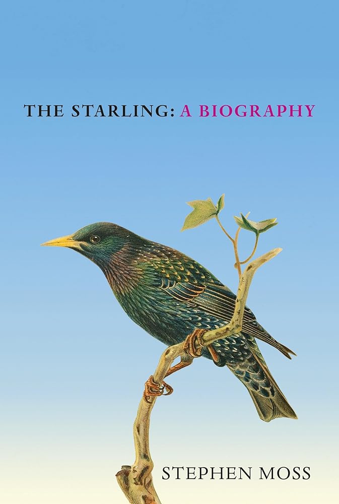 The Starling: A Biography (6) (The Bird Biography Series) cover image
