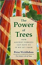 The Power of Trees: How Ancient Forests Can Save Us if We Let Them cover image