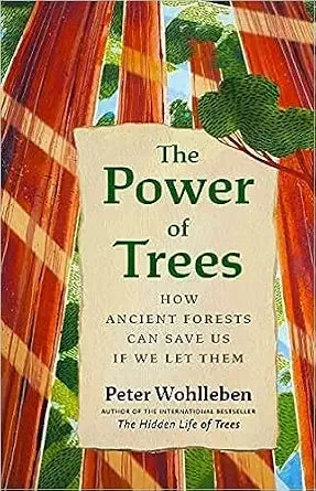 The Power of Trees: How Ancient Forests Can Save Us if We Let Them cover image