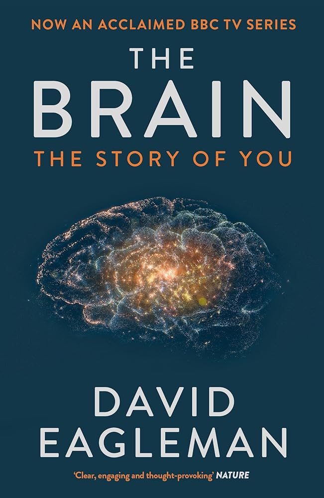 Brain cover image