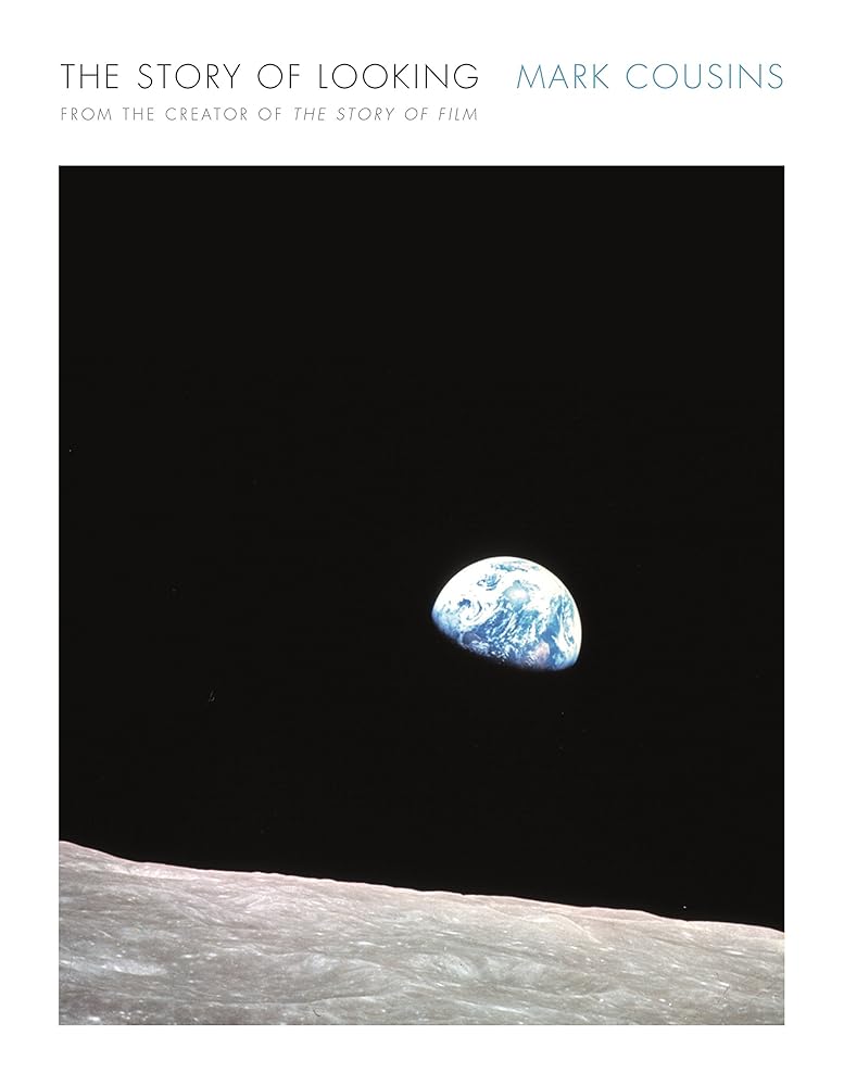 The Story of Looking cover image