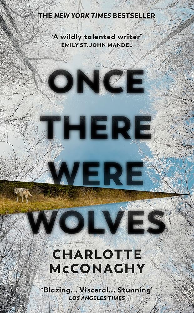 Once there were wolves cover image