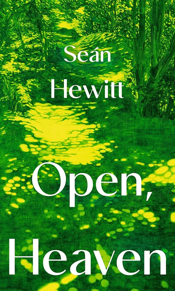 Open, Heaven: The irresistible new novel about how a first love can shape a whole life cover image