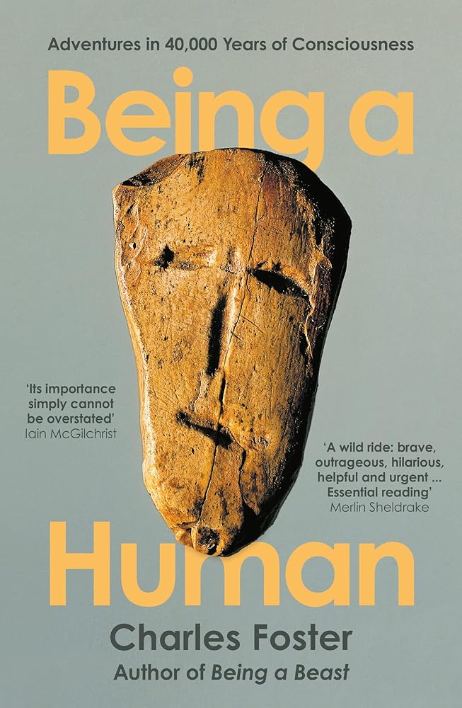Being a Human: Adventures in 40,000 Years of Consciousness cover image
