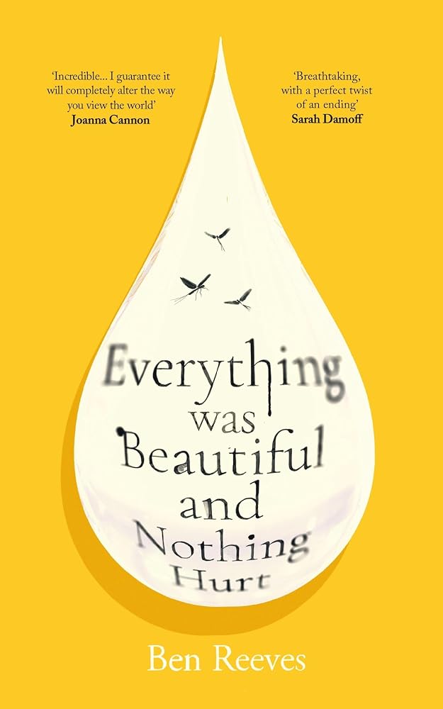 Everything was Beautiful and Nothing Hurt: ‘Incredible... I guarantee it will completely alter the way you view the world’ Joanna Cannon cover image